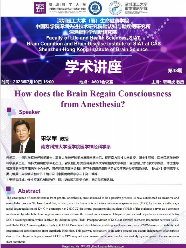 2023-7-10-how-does-the-brain-regain-consciousness-from